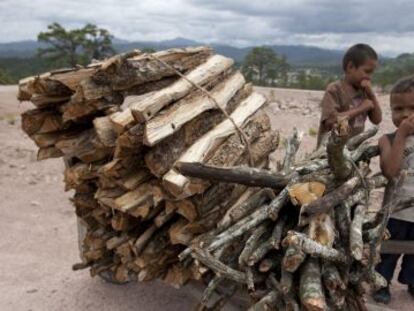 Una familia hondure&ntilde;a carga le&ntilde;a para cocinar en fog&oacute;n.