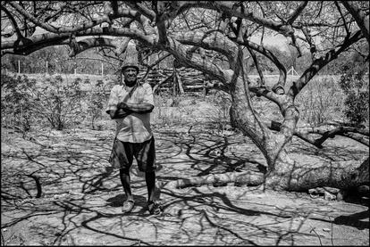 José Onório dos Santos, de 64 anos, no quintal de sua casa, recebida depois que as obras da transposição passaram no terreno da fazenda onde ele trabalhava, em Cabrobó, Pernambuco. Ele trabalhava de meeiro, empregado que planta nas terras de um fazendeiro e entrega metade da colheita ao patrão. Por causa da transposição, ele recebeu uma casa e agora espera um lote irrigado, para iniciar a própria plantação.