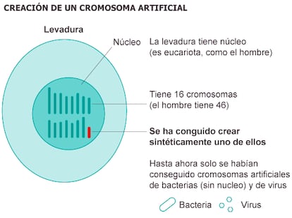 Fuente: Science.