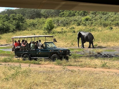 Safari parque nacional de Chobe en Botsuana