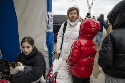 Anna (48 años) es neuróloga y trabajó hasta el 4 de marzo en el hospital de Odesa. Un día después, hizo las maletas y a las seis de la mañana abandonó su casa con tres de sus cuatro hijas (la mayor, de 22, ha huido a Polonia). Nika, de 11 años, sostiene a su perrita. Están cansadas y tienen frío. El conductor que las ha traído a la frontera no pudo avanzar los últimos kilómetros y acabaron el trayecto a Moldavia caminando dos horas. En el punto fronterizo de Palanca (al sur del país) esperan a un familiar que las lleve a la capital, Chisináu. "Nos quedaremos una semana", dice la madre, que espera poder volver pronto a su hogar.