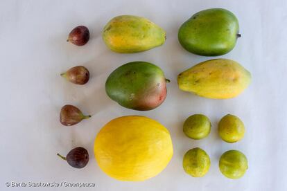 Figo, mamão, manga, melão e limão brasileiros dentre as frutas analisadas pelos laboratórios alemães.