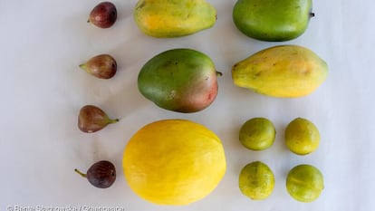 Figo, mamão, manga, melão e limão brasileiros dentre as frutas analisadas pelos laboratórios alemães.