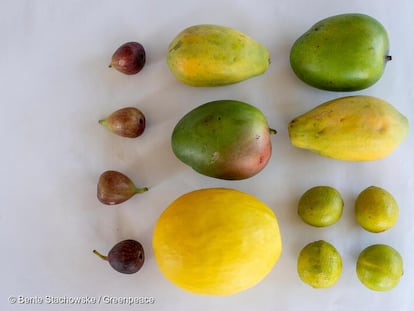 Figo, mamão, manga, melão e limão brasileiros dentre as frutas analisadas pelos laboratórios alemães.