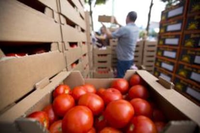 Un agricultor francés vende su fruta y verdura directamente al público hoy en la Plaza de la Bastilla en París (Francia).