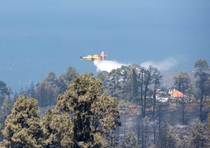 Un hidroavión hace una descarga este domingo para refrescar una zona quemada en el barrio de El Castillo del municipio de Garafía, en la isla de La Palma.