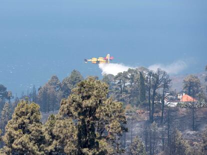 Un hidroavión hace una descarga este domingo para refrescar una zona quemada en el barrio de El Castillo del municipio de Garafía, en la isla de La Palma.