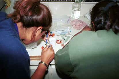 El equipo de Frank Mari trabajando en el laboratorio.