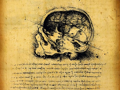 Arriba, fragmento de los apuntes de anatomía de Leonardo da Vinci.