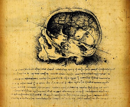 Arriba, fragmento de los apuntes de anatomía de Leonardo da Vinci.