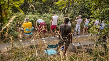 Preparación: los participantes en la sesión ingieren un líquido que les provoca vómitos.