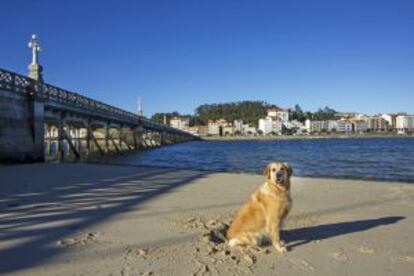 Playa de Covadelo, en O Grove (Pontevedra).