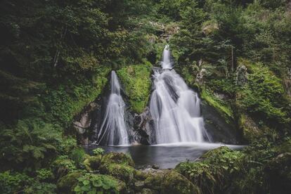 Cascadas de la Selva Negra.