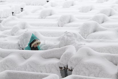 Un niño camina por un parque totalmente cubierto de nieve en Kiev.