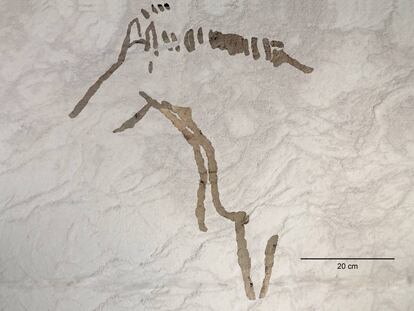 Imagen de uno de los cuatro équidos hallados en la cueva de Ekain.