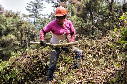 “Me gusta mi trabajo, no sólo porque me puedo mantener, sino porque sé que cuidando el bosque, aprovechándolo de manera sustentable, logro bienestar no sólo para el presente sino para el futuro de los que habitamos en la comunidad”, afirma Josefina, guardabosques de Sierra Juárez de Oaxaca, México. 