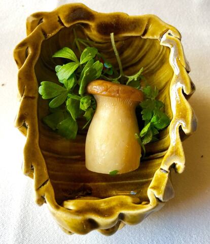 SETA ESCABECHADA CON HIERBAS AROMÁTICAS / CAPEL