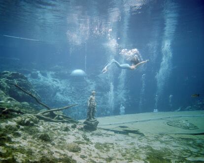 The mermaid (A sereia) Weeki Wachee Springs, Flórida 2017