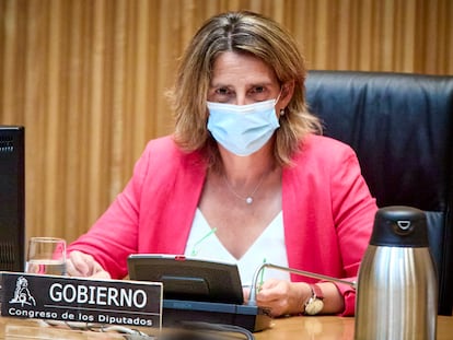 Teresa Ribera, durante su intervención esta tarde en el Congreso.