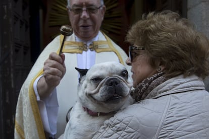 El padre de la iglesia de San Antón de Madrid bendice a un perro.