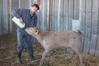 Tomás Ayuso López, ganadero de la Ganadería Natural de Velilla.