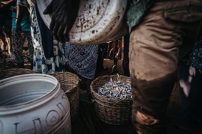 Las prácticas de barcos con bandera ghanesa, pero de propiedad china, está dejando las aguas de Ghana sin peces, según la Environmental Justice Foundation (EJF).