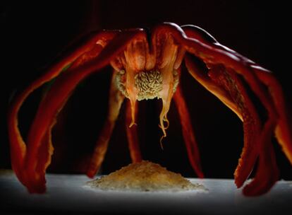 Ingredientes de los pimientos con arroz, en un homenaje a la artista Louise de Bourgeois y su obra <i>Mamá.</i>