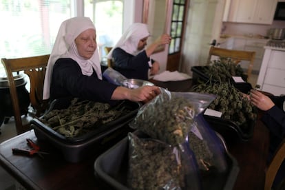 Seus votos estão baseados na conexão com a natureza e as plantas. Na imagem, as irmãs separam o cânhamo em sua cozinha