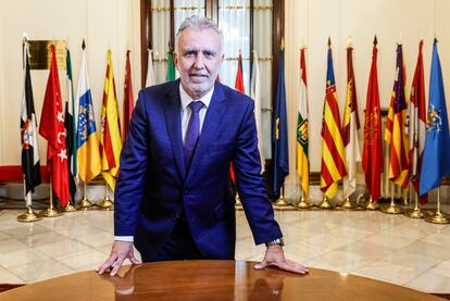 Minister Ángel Víctor Torres, last Tuesday, at the Adanero palace (Madrid). 