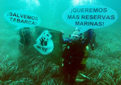 Activistas de Ecologistas en Acción y WWF se sumergieron y desplegaron pancartas en aguas de Tabarca.