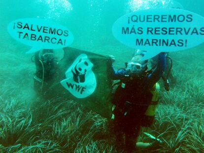 Activistas de Ecologistas en Acci&oacute;n y WWF se sumergieron y desplegaron pancartas en aguas de Tabarca.