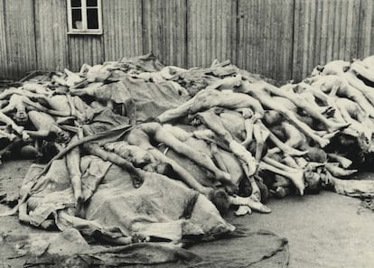 Fotografía tomada el día de la liberación de Mauthausen, que muestra a cientos de muertos en el campo nazi. Boix no sólo tomó sus propias imágenes. Su mayor aportación fue el robo, gracias a su trabajo en el laboratorio fotográfico, de miles de negativos que recogían la vida y la muerte en los campos, y que los nazis habían ordenado eliminar.