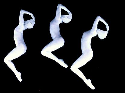 Intérpretes de <i>Sun Flower Moon,</i> de Momix.