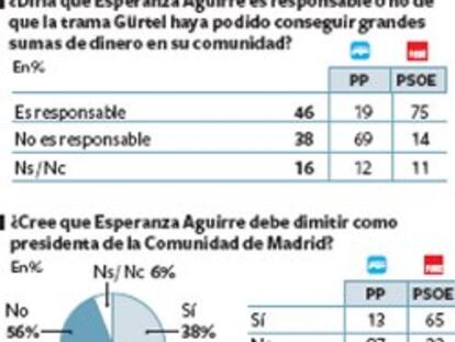 Los diputados del Gürtel tendrían que dejar la Asamblea