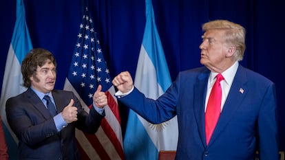 Javier MileI, Donald Trump