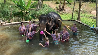 Un grupo de turistas bañan a un elefante en el centro Koh Yao Elephant Care