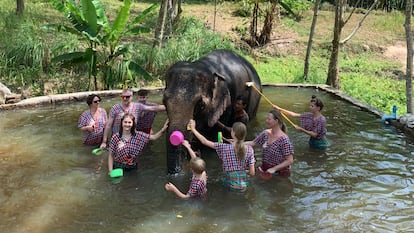 Un grupo de turistas ba?an a un elefante en el centro Koh Yao Elephant Care