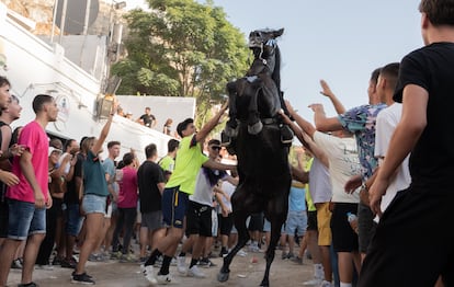 'Jocs des pla' durante la celebración de San Joan en Ciutadella (Menorca).