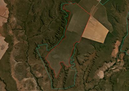 Imagen de satélite de Fazenda Parceiro (El Cerrado, Brasil) que muestra 
la zona deforestada (5.200 hectáreas) en 2019 y 2020 por SLC.