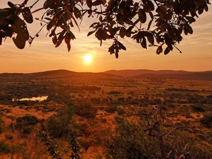 Safari fotográfico en Sudáfrica