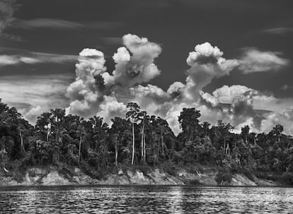 Panorâmica do rio Ituí, no Vale do Javari, a segunda maior reserva indígena do Brasil.