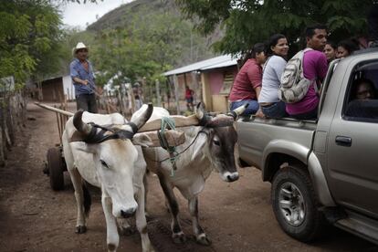 Carretera de Palmira en dirección al oeste. En la carreta de bueyes un productor local se dirige al campo para recolectar madera.