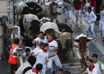 Los toros de la ganadería Núñez de Cuvillo durante su recorrido en el sexto encierro. 