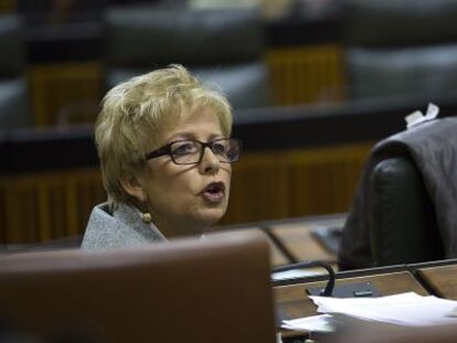 La consejera Elena Víboras, en el Parlamento.