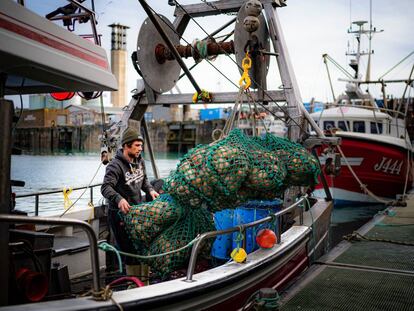 Un pescador descarga una captura de vieiras en el puerto de Saint Helier, en la isla de Jersey.