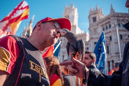 Un hombre besa a un loro durante una manifestación contra la amnistía, este sábado en los alrededores de la plaza de Cibeles.