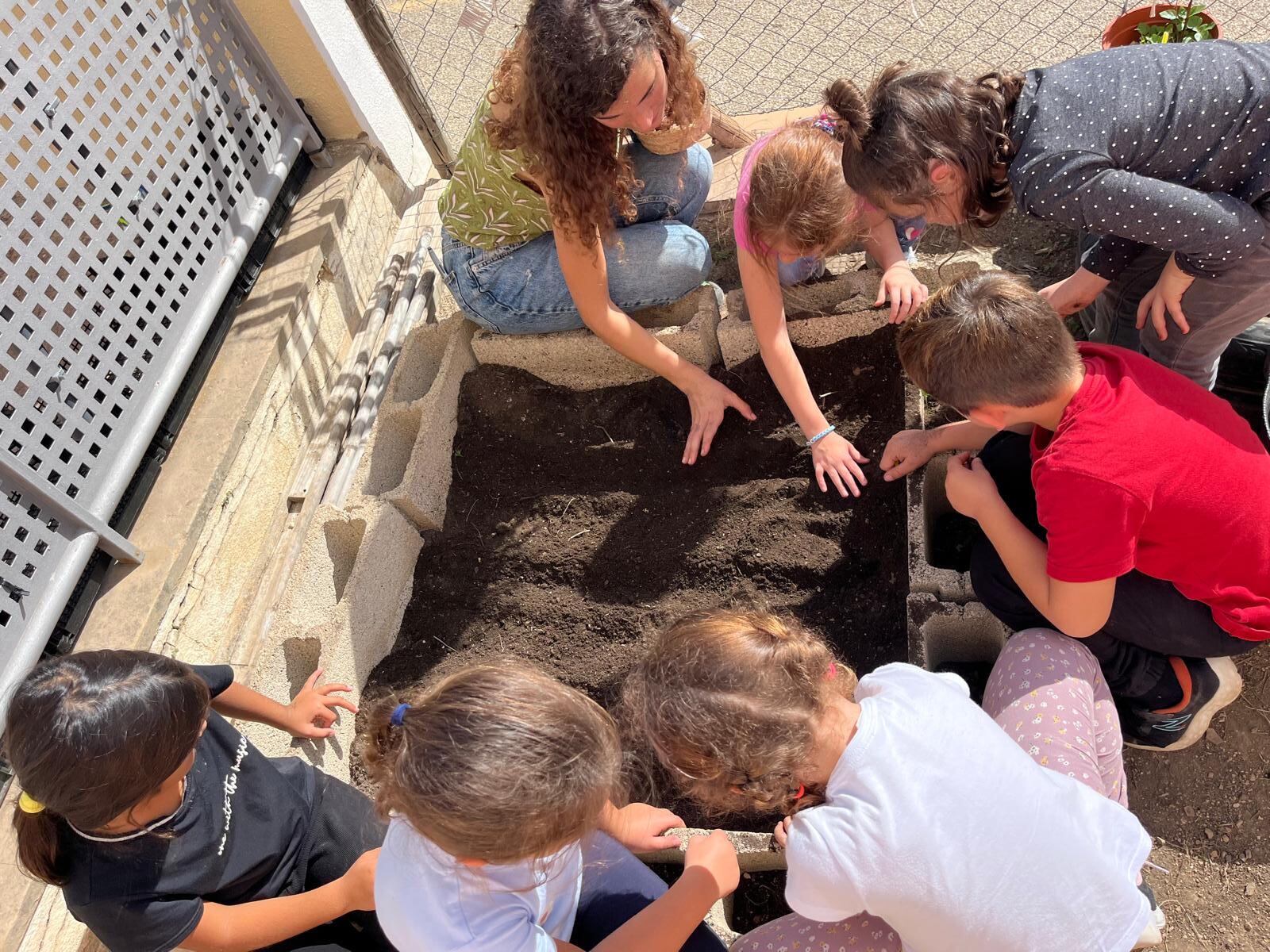¿Qué puede hacer un colegio para enseñar a comer? Cuatro iniciativas que ayudan a los niños a conocer mejor los alimentos