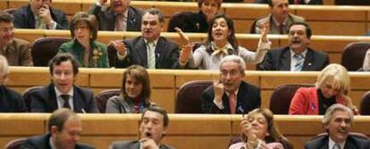Senadores del Grupo Popular increpan al presidente del Gobierno, José Luis Rodríguez Zapatero, durante la sesión de control.
