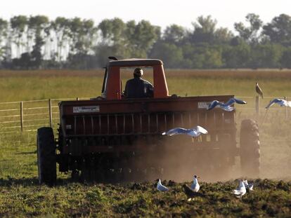 Agricultor conduz um trator em uma plantação de sorgo na província de Buenos Aires.