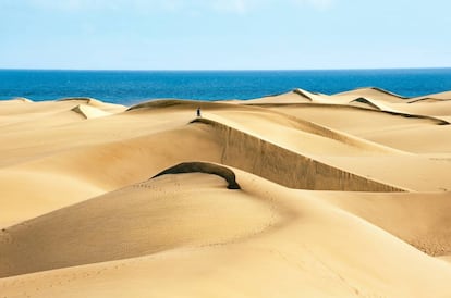 Las famosas y preciosas dunas de Maspalomas.